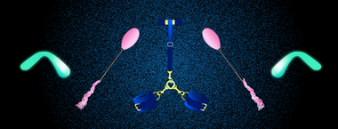 illustration of Bender, Tsk and Orion 